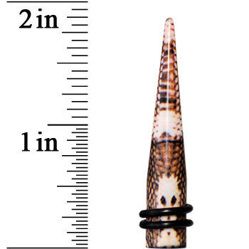 COZY