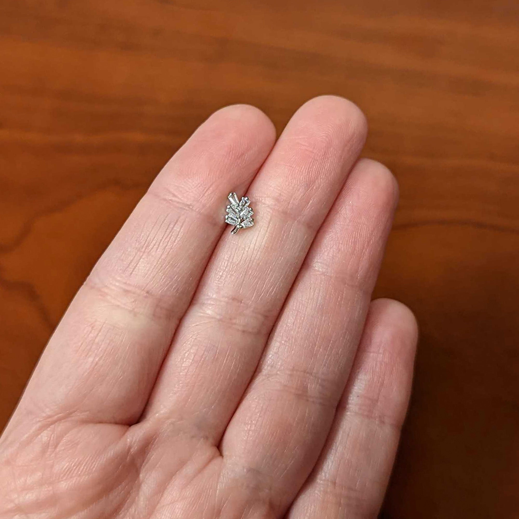 COZY
