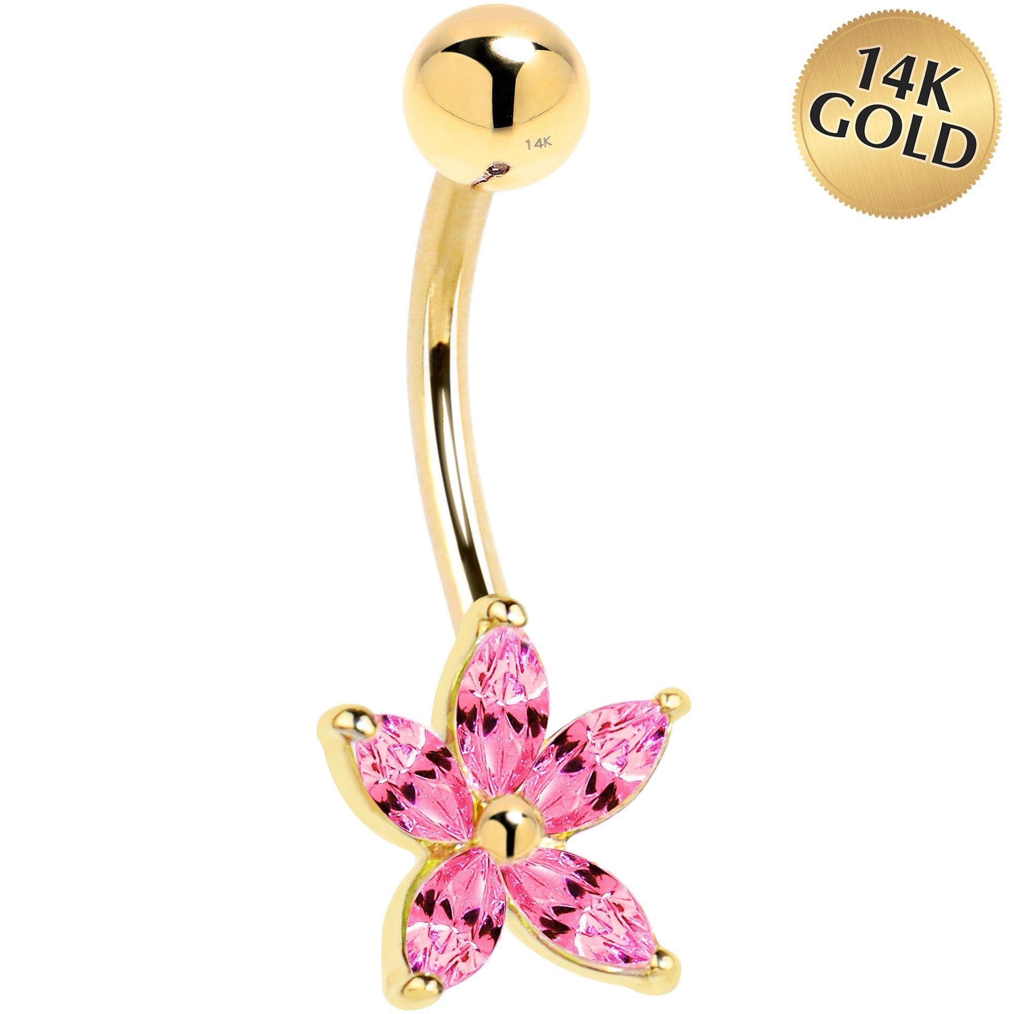 COZY