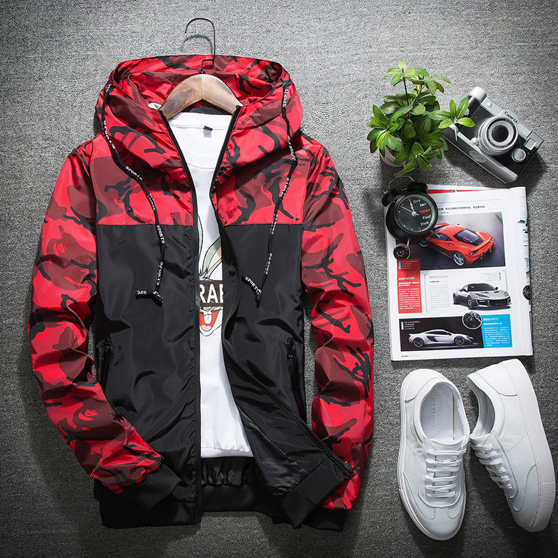 COZY