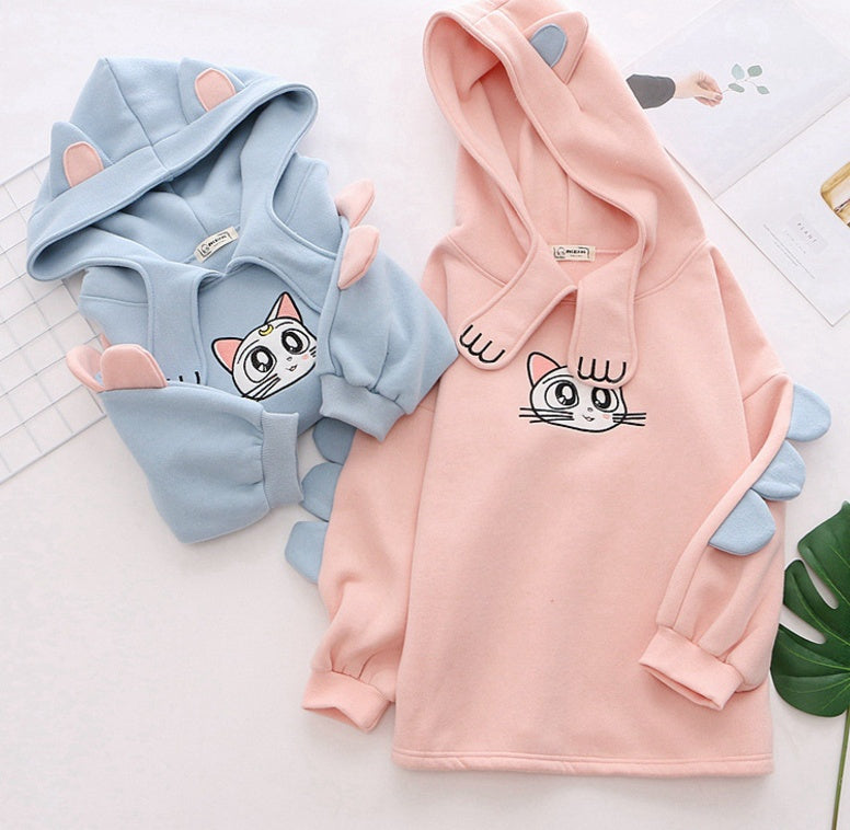 COZY