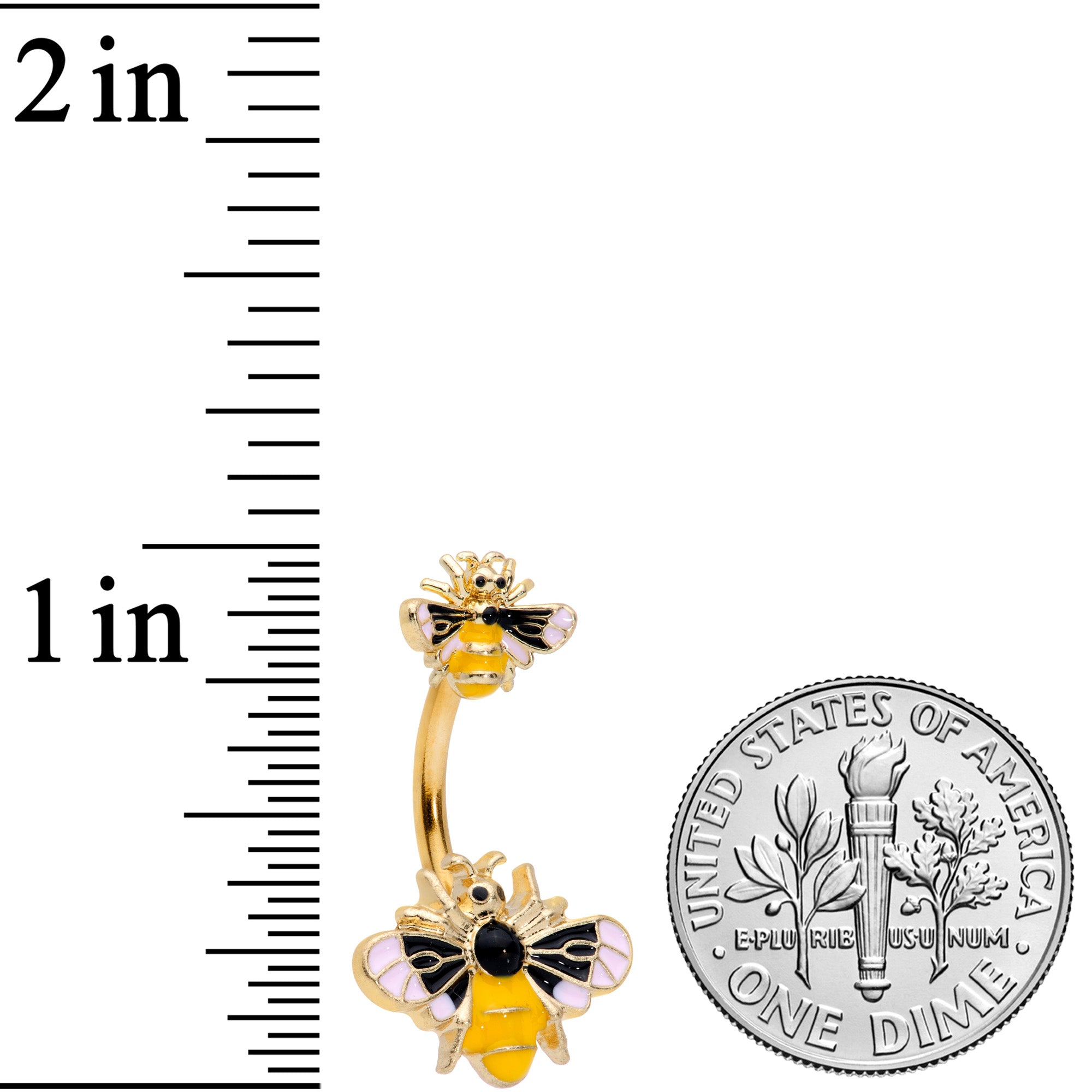 COZY