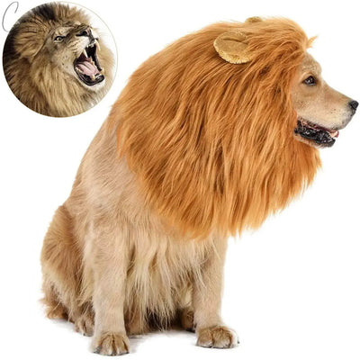 Lion Wig Costume For Dogs Pet Expert