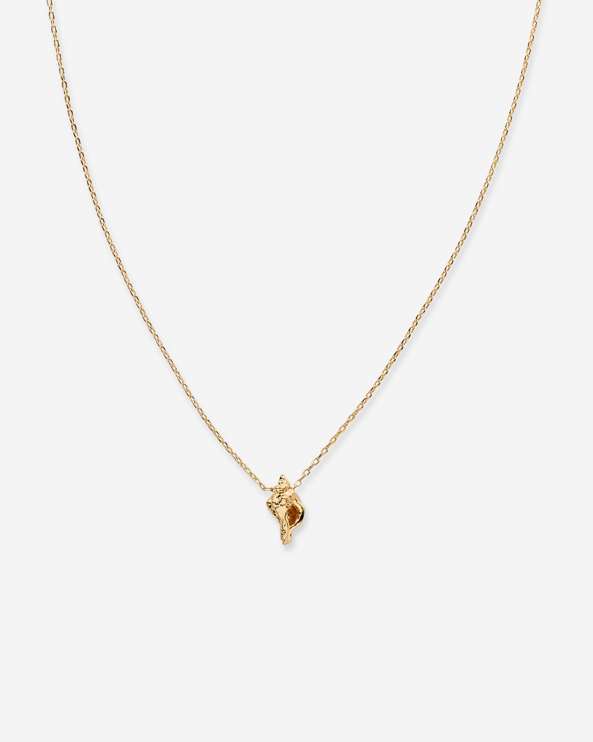 COZY